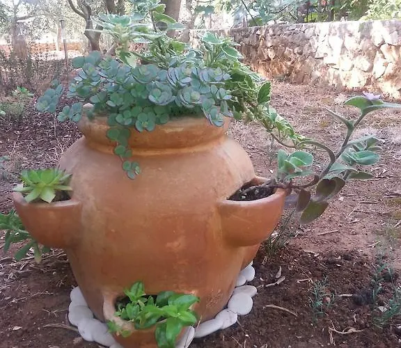 아파트 Barba Stipe *