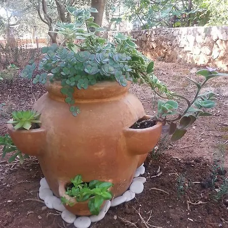 Apartamento Barba Stipe *